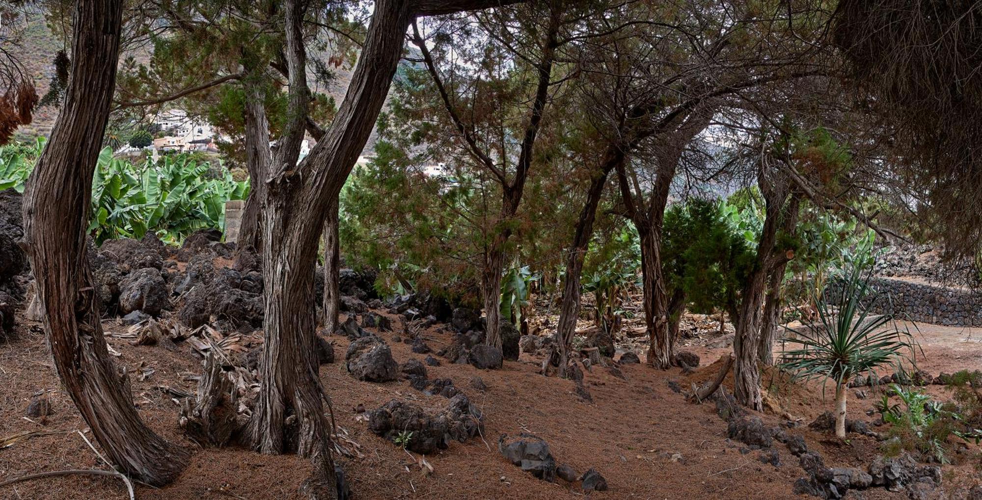 Las Sabinas Villa - El Guincho, Garachico 加拉奇科 外观 照片