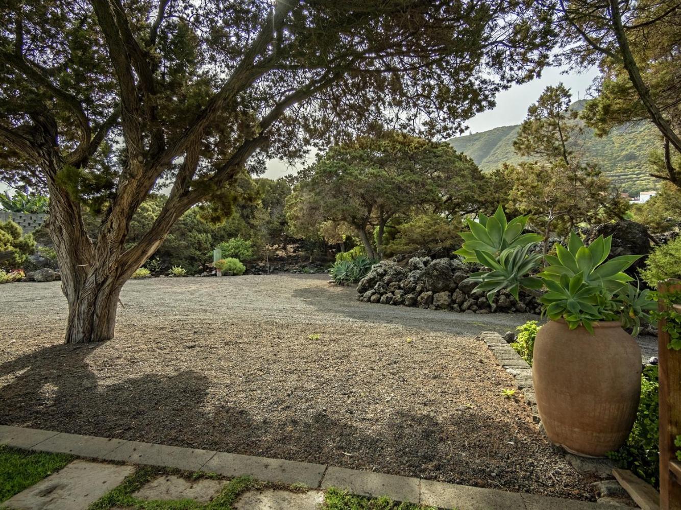 Las Sabinas Villa - El Guincho, Garachico 加拉奇科 外观 照片